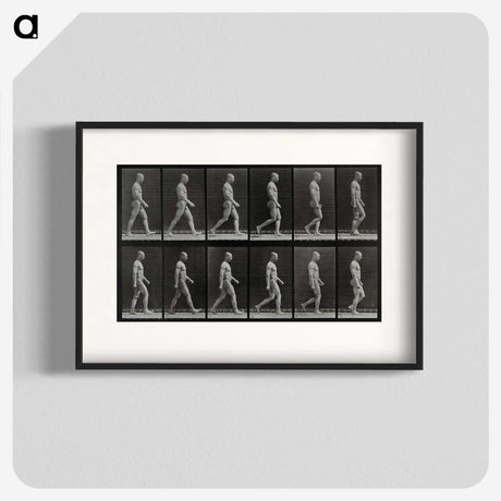 1-86_Eadweard-Muybridge_blk