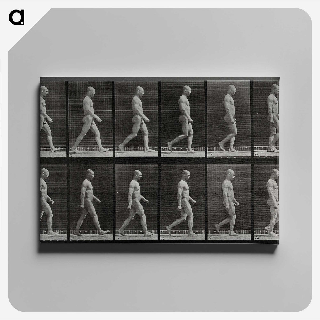 1-86_Eadweard-Muybridge_canvas