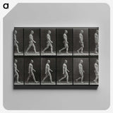 1-86_Eadweard-Muybridge_canvas