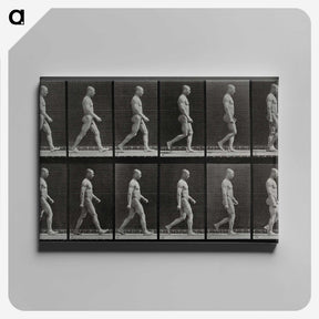 1-86_Eadweard-Muybridge_canvas