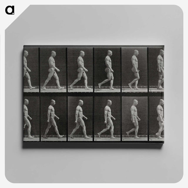 1-86_Eadweard-Muybridge_canvas
