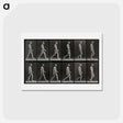 アートポストカード-Man Walking
 - エドワード マイブリッジ Postcard.