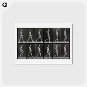 アートポストカード-Man Walking
 - エドワード マイブリッジ Postcard.
