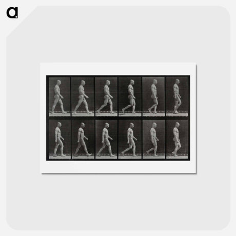 アートポストカード-Man Walking
 - エドワード マイブリッジ Postcard.