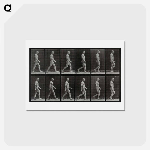 アートポストカード-Man Walking
 - エドワード マイブリッジ Postcard.