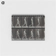 1-86_Eadweard-Muybridge_memo