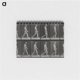 1-86_Eadweard-Muybridge_memo