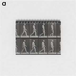1-86_Eadweard-Muybridge_memo