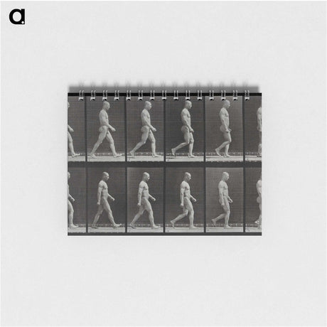 1-86_Eadweard-Muybridge_memo