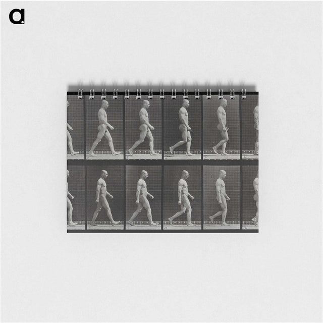 1-86_Eadweard-Muybridge_memo