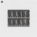 アートメモ帳-Man Walking
 - エドワード マイブリッジ Memo.