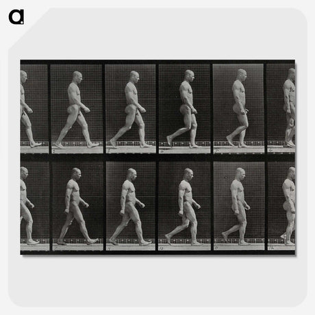 1-86_Eadweard-Muybridge_picture-crop