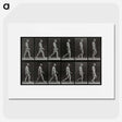 1-86_Eadweard-Muybridge_picture