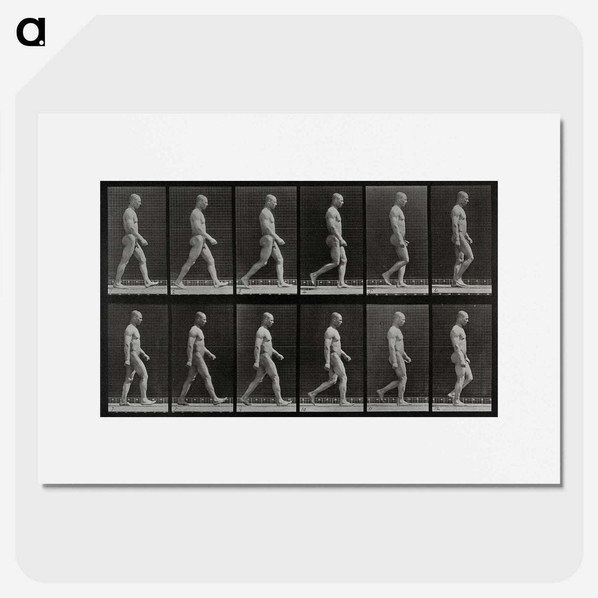 1-86_Eadweard-Muybridge_picture