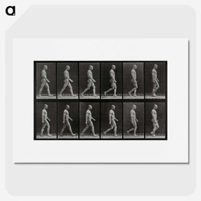 1-86_Eadweard-Muybridge_picture
