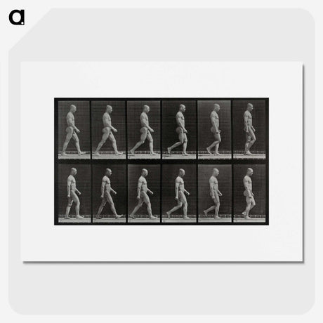 1-86_Eadweard-Muybridge_picture
