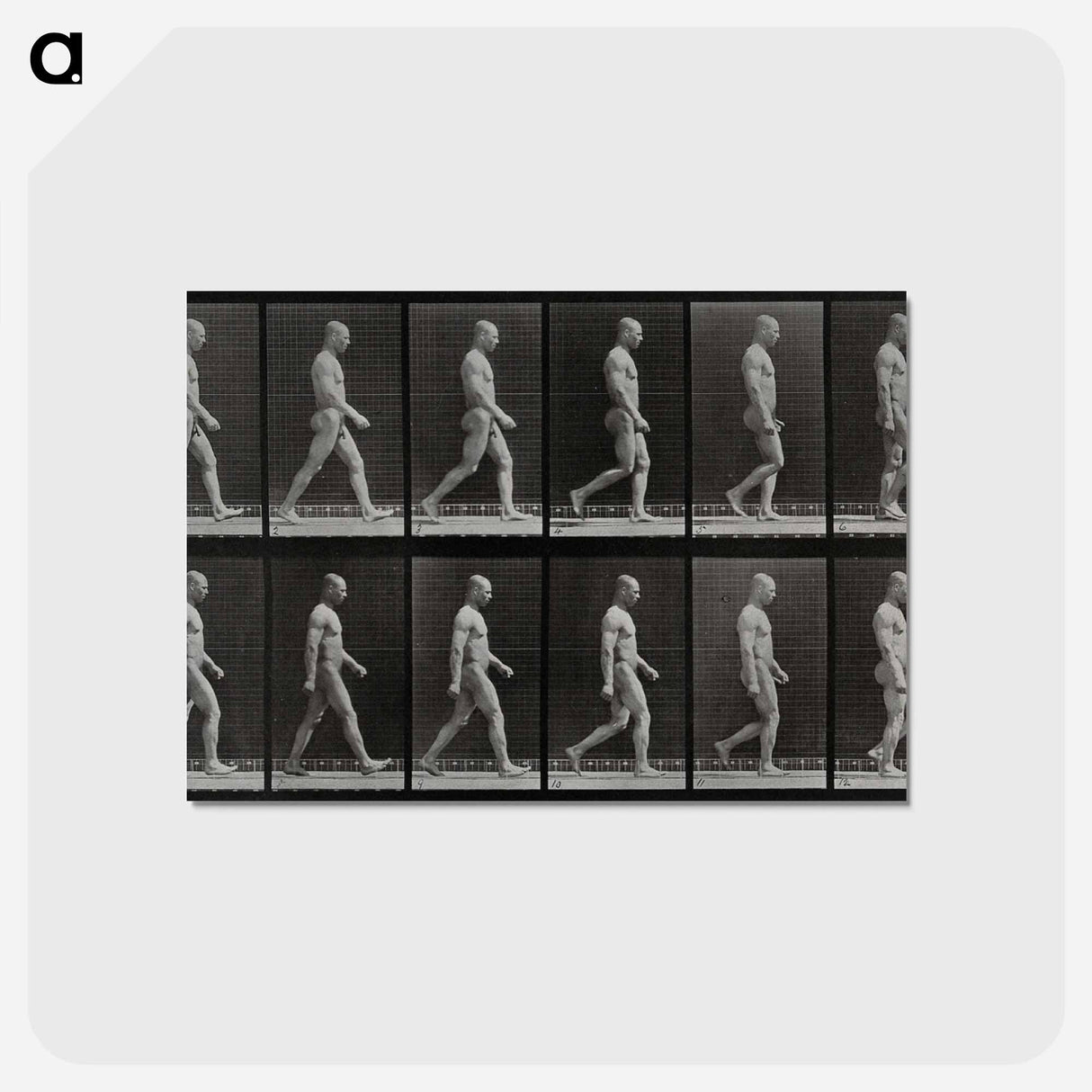 アートポストカード-Man Walking
 - エドワード マイブリッジ Postcard.