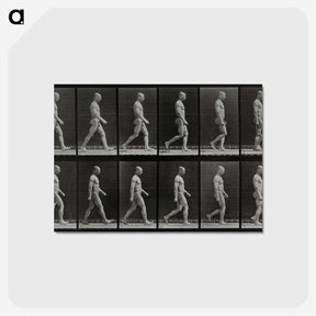 1-86_Eadweard-Muybridge_postcard