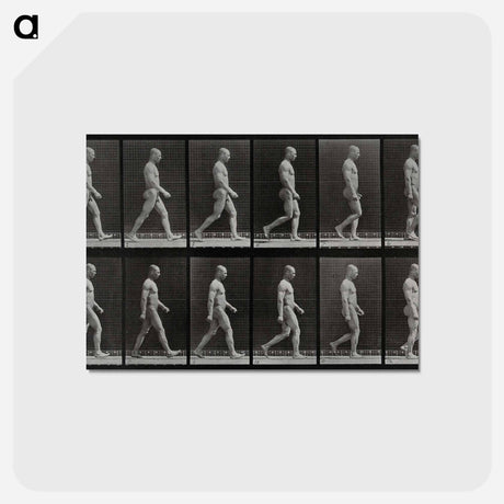 アートポストカード-Man Walking
 - エドワード マイブリッジ Postcard.