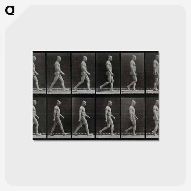 1-86_Eadweard-Muybridge_postcard