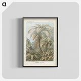 1-86_Ernst-Haeckel_blk-crop