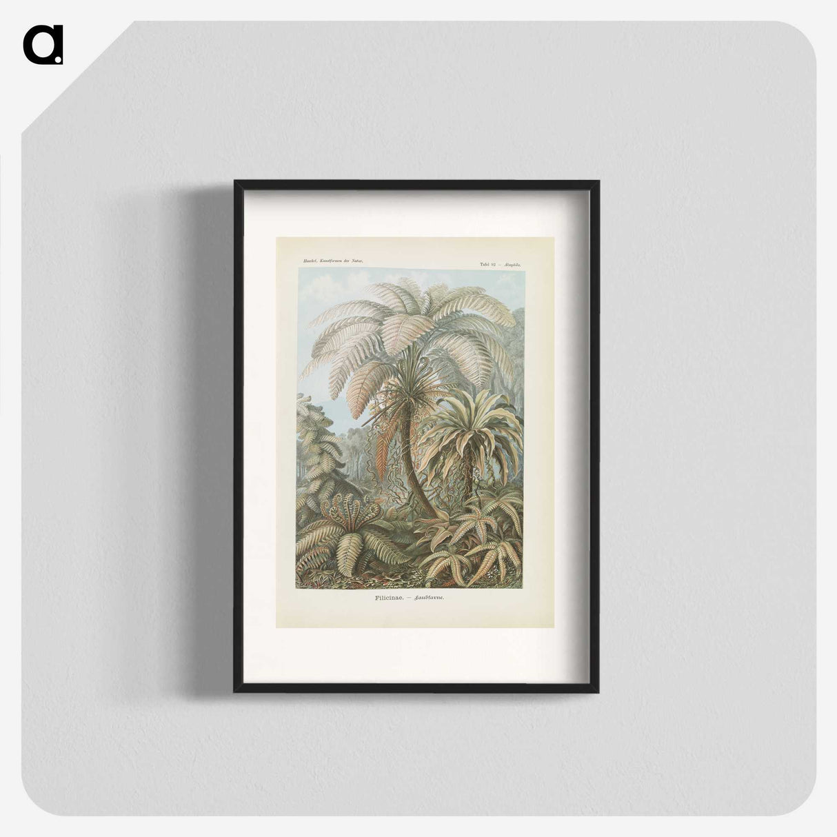 1-86_Ernst-Haeckel_blk