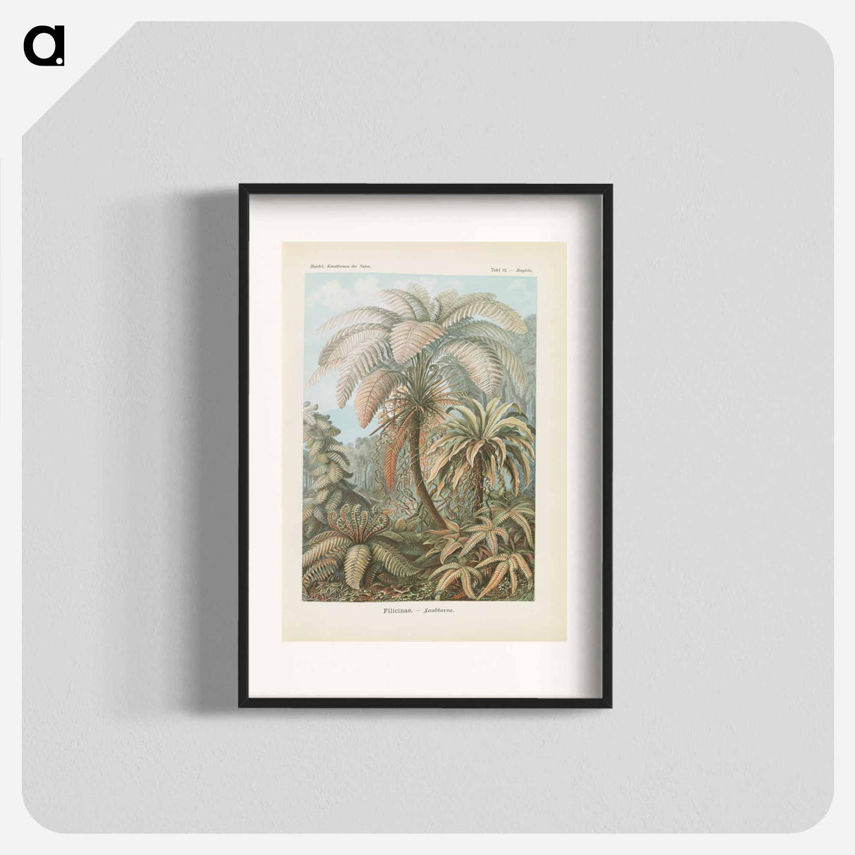Tropical forest illustration - エルンスト ヘッケル Poster.
