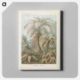 Tropical forest illustration - エルンスト ヘッケル Canvas.