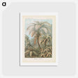 アートポストカード-Tropical forest illustration - エルンスト ヘッケル Postcard.