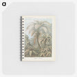 1-86_Ernst-Haeckel_memo