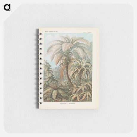 アートメモ帳-Tropical forest illustration - エルンスト ヘッケル Memo.