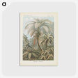 1-86_Ernst-Haeckel_postcard
