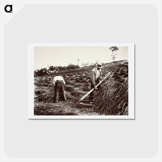 アートポストカード-Faucheurs, Somme
 - ウジェーヌ アジェ Postcard.