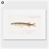 1-86_Frank-Edward-Clarke_picture