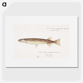 1-86_Frank-Edward-Clarke_picture