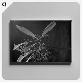 1-86_Frederick-Charles-Brockett_canvas