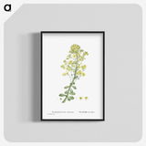 1-86_Histoire-des-Plantes-Grasses_blk-crop