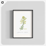 1-86_Histoire-des-Plantes-Grasses_blk