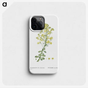 1-86_Histoire-des-Plantes-Grasses_phone