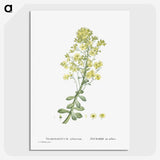 1-86_Histoire-des-Plantes-Grasses_picture-crop