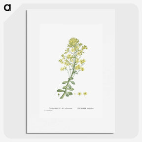 1-86_Histoire-des-Plantes-Grasses_picture