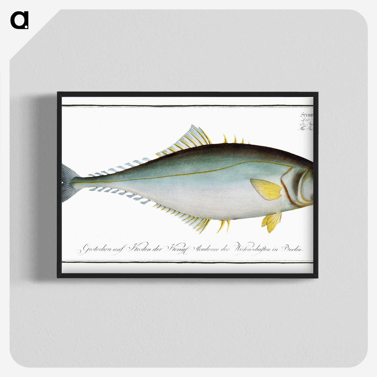 1-86_Ichtyologie-ou-Histoire-naturelle_blk-crop