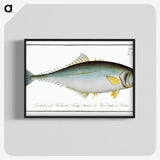 1-86_Ichtyologie-ou-Histoire-naturelle_blk-crop