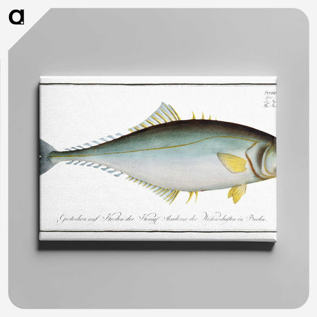 1-86_Ichtyologie-ou-Histoire-naturelle_canvas
