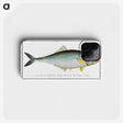 1-86_Ichtyologie-ou-Histoire-naturelle_phone