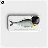 1-86_Ichtyologie-ou-Histoire-naturelle_phone