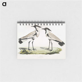 1-86_Indian-Zoology_memo