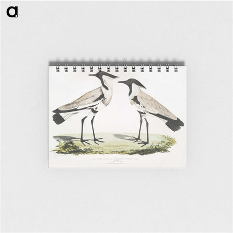 1-86_Indian-Zoology_memo