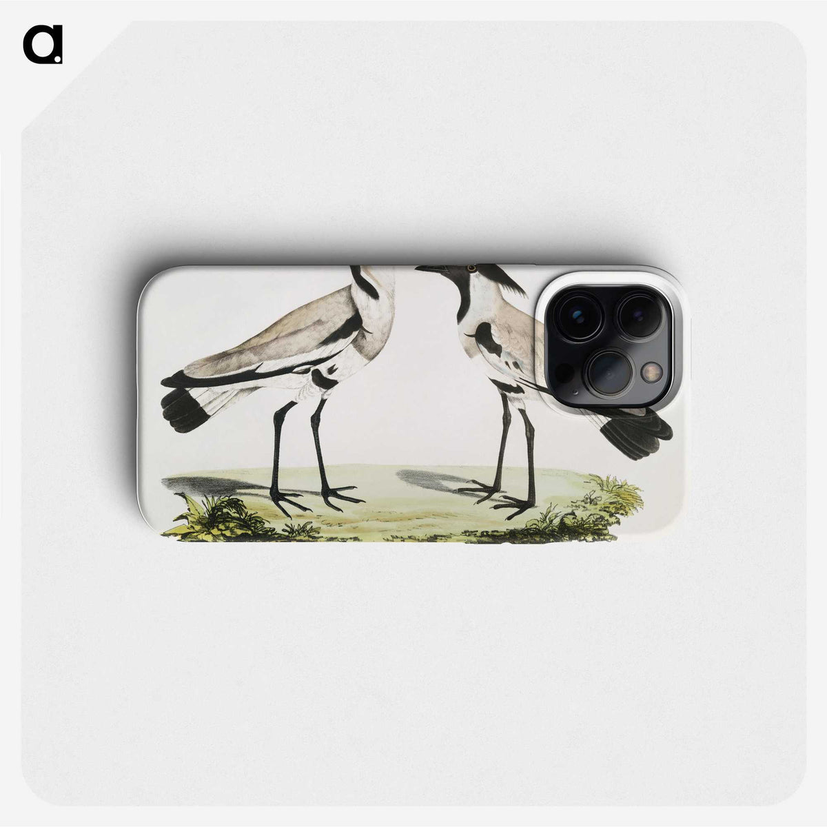 1-86_Indian-Zoology_phone