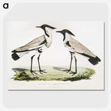 1-86_Indian-Zoology_picture-crop